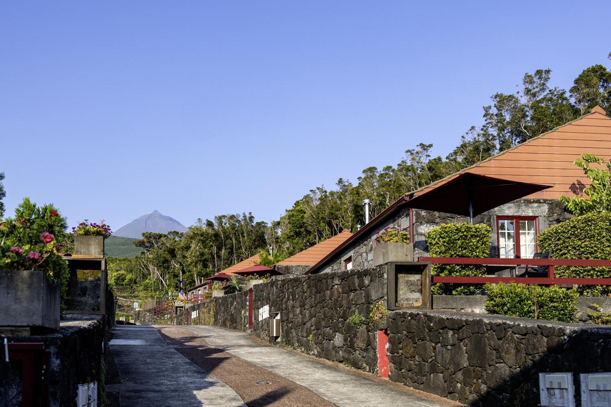 Aldeia Das Adegas São Roque do Pico Dış mekan fotoğraf