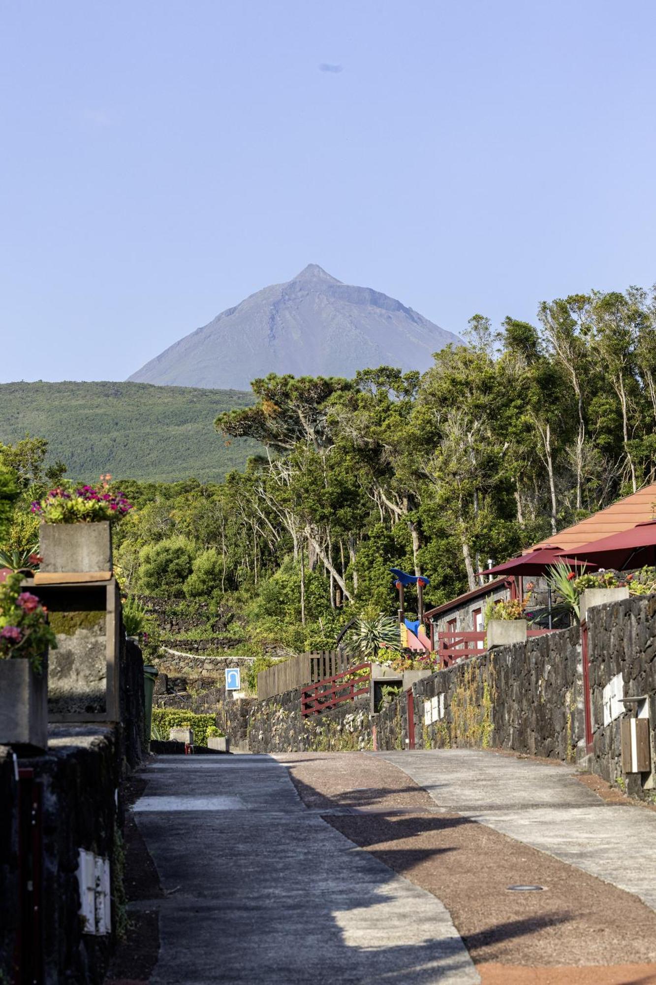 Aldeia Das Adegas São Roque do Pico Dış mekan fotoğraf